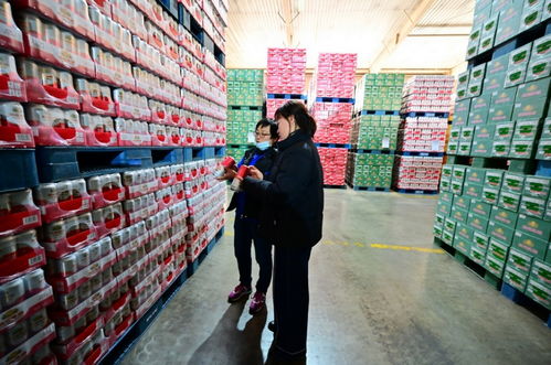 餐桌上的食品安全無小事,走進沈陽綠色工廠,探訪神秘生產(chǎn)線