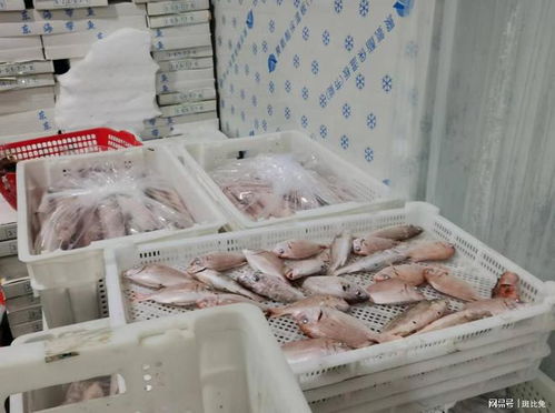 捕撈養殖輸送原料資源,電商批發打通銷售脈絡